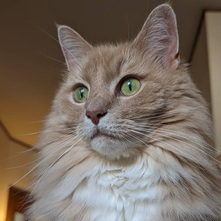 568313ff d33f 47a3 a862 d20e78047419 1716963872696