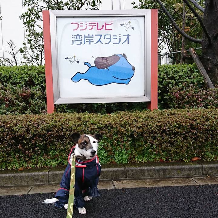 56832e36 b1f4 42e0 a223 2b73d0c2549b 1521621378893