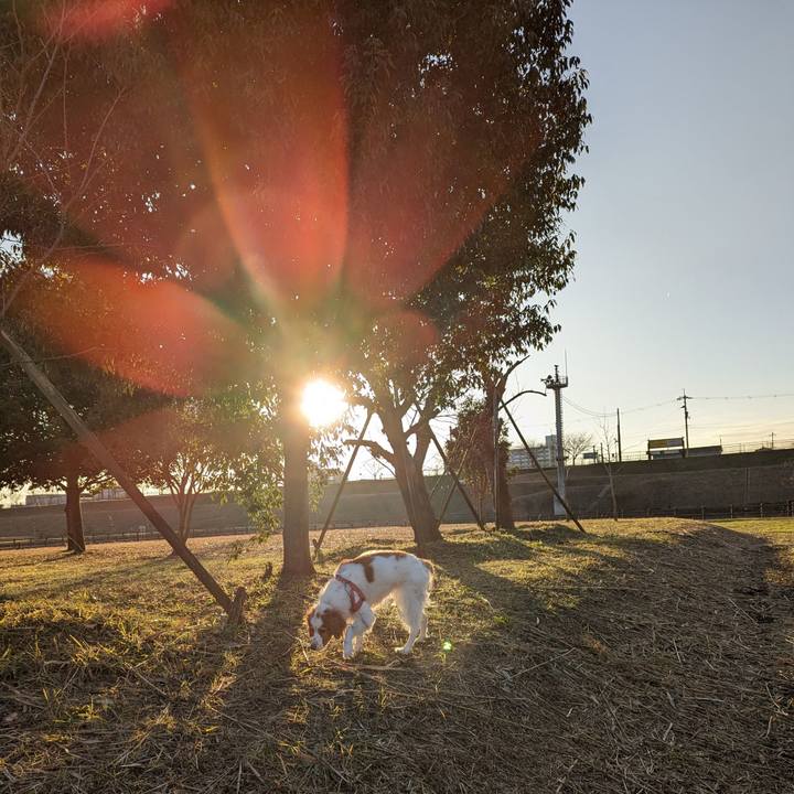 56833dde 2617 4514 80ea 3fd3c759a6e2 1674116330972