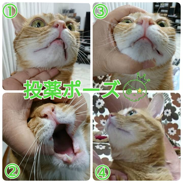 568377bd f2c3 4891 99ca e8424054e0ff 1560515296391