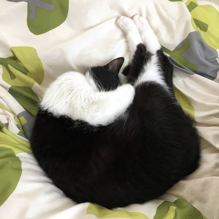 568380f5 6486 4641 9f35 462eac3d4851 1528674383104