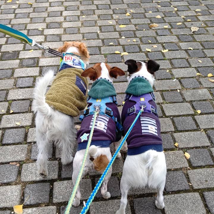 5683847b eecb 413a 85e2 79a8a8d7599d 1637643040087