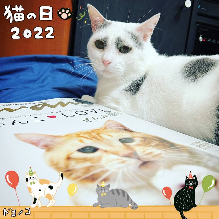 56839837 1fc0 444c 9742 0f07f881e33a 1645538474468