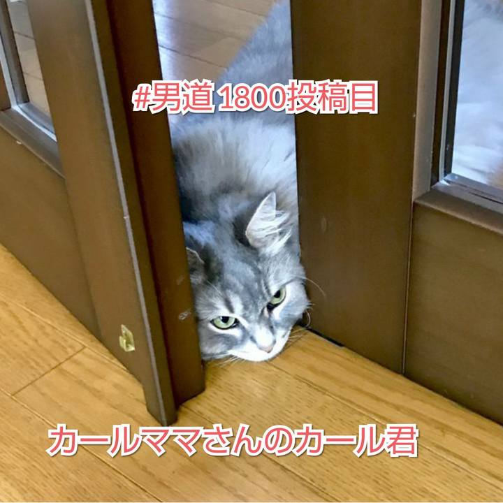 5683a845 014f 4556 abe0 c13e4fa2012b 1564479393926