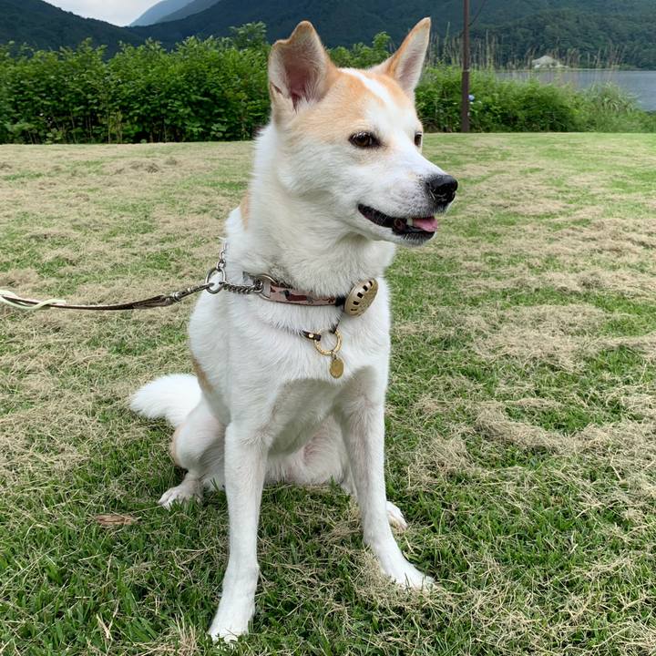 5683c03d 91f2 4c8b 88ba 4c8872772343 1687864983161