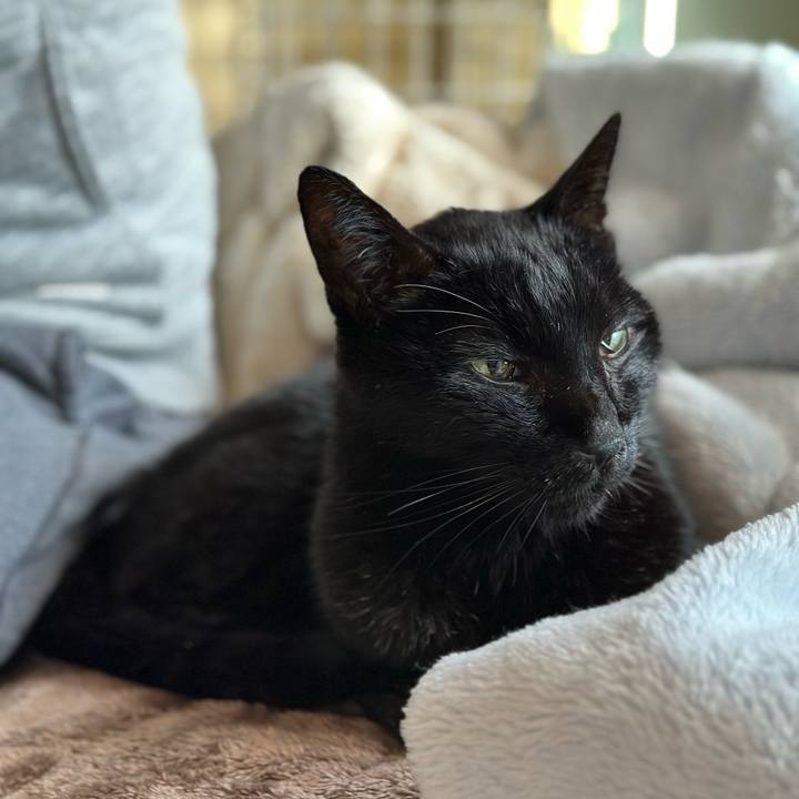 5683c367 fd32 4718 9910 bc566e482229 1703297184092