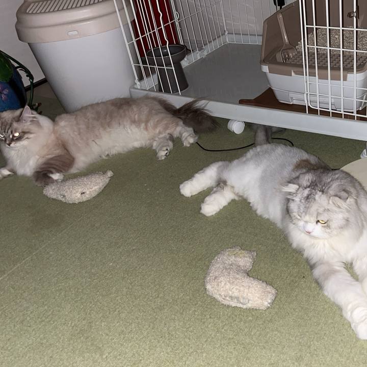 5683c376 a52e 4deb b0fa e9ac0079984e 1724568355949