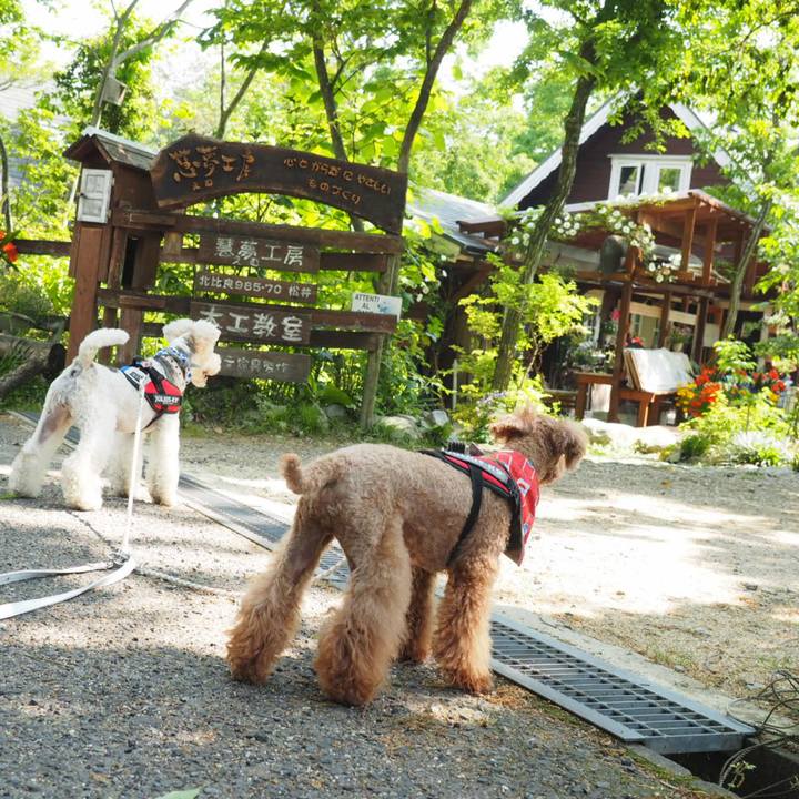 5683da89 7e3d 4642 91a0 779b4ba0ad5e 1557724291301