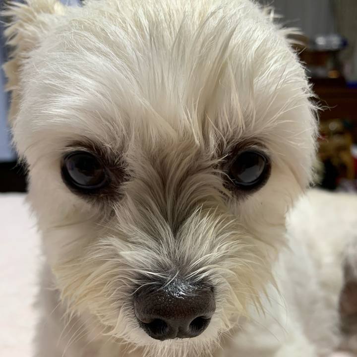 5683f740 1e15 42cb 92f6 4614d17d4fc5 1631273211423