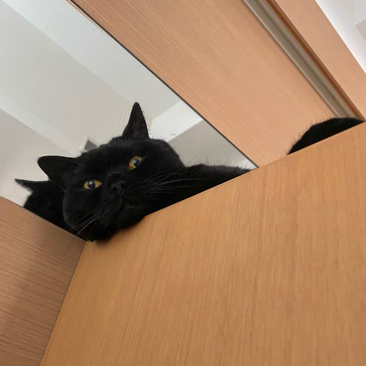 5684223e 971a 4b15 8d3c 8d2e60c0b31e 1749376454888