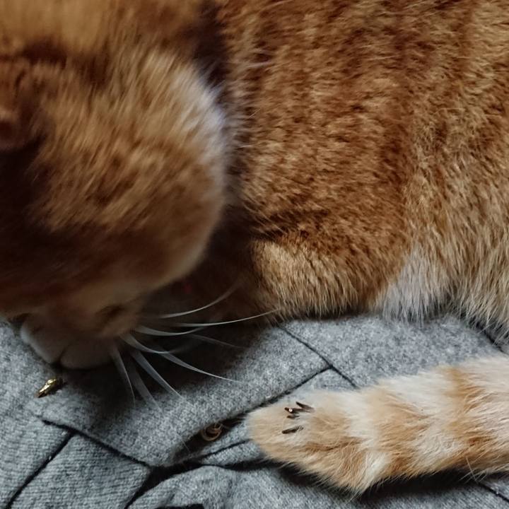 5684272e 64f1 46a6 b4d9 df2b40e5b69e 1575793335041