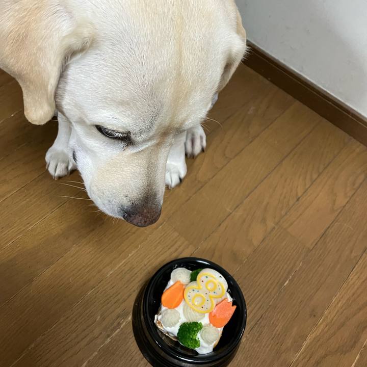 56843599 77b5 44be b747 b8ac6373662e 1667483162738