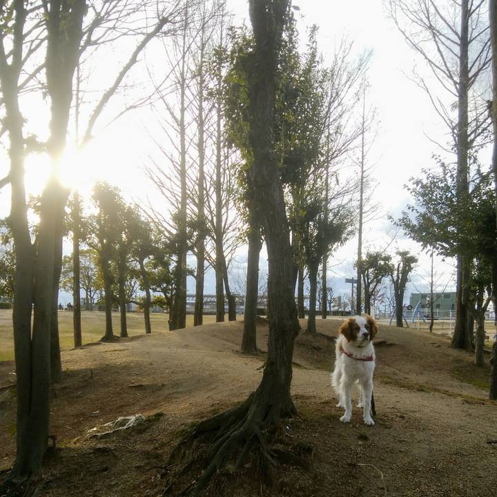 568441ce 4092 4f82 8d31 f2f05592cd22 1549625211471