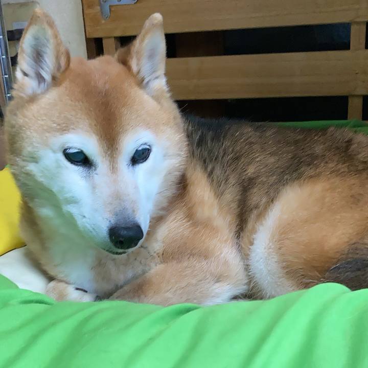 5684486d c8f5 49e0 8453 cf70f5f2917a 1749446440014