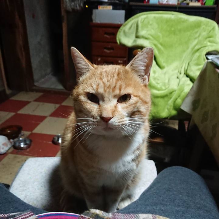 56845b9b 833b 4a02 80d5 d1f4a1c126a7 1582920064727