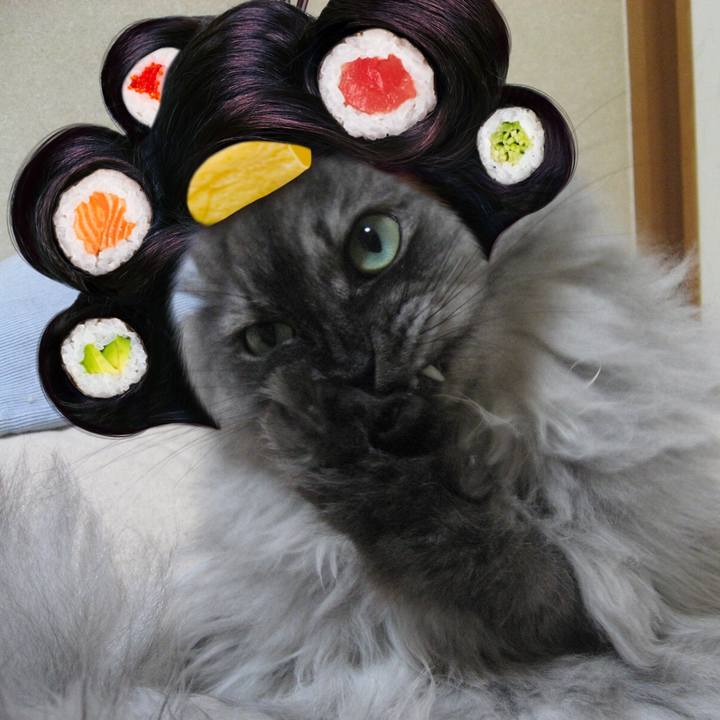 56847348 ca38 4896 9292 19de7bab1bc9 1549899353254