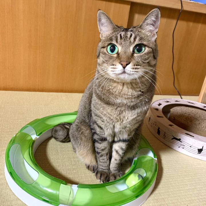 56848d45 1671 4db1 a7fe e686ce893466 1592137848537