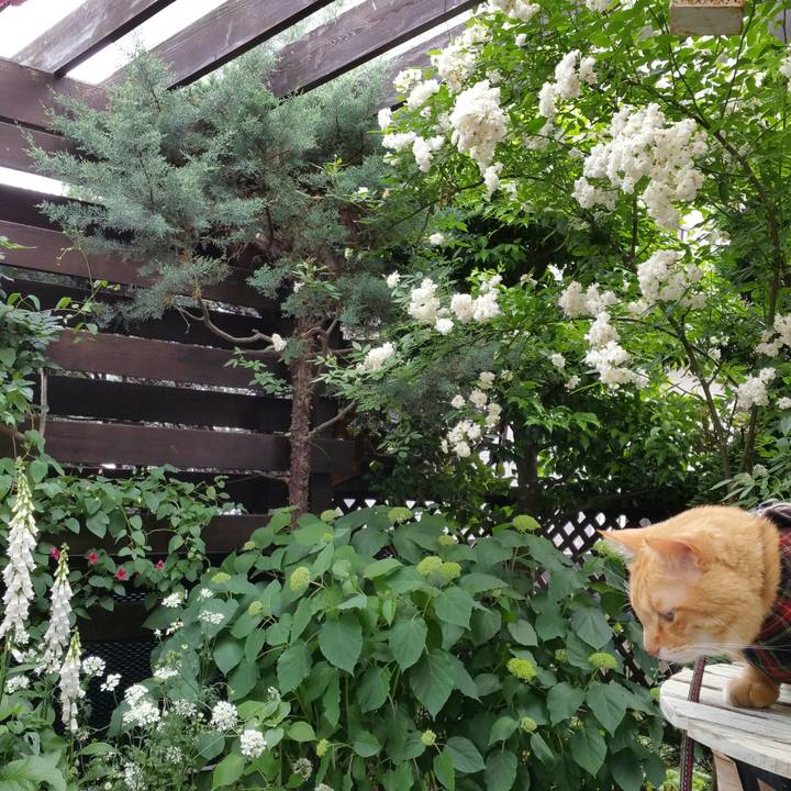 5684ba00 c49a 4fe3 945f fb4f22881595 1528178294254