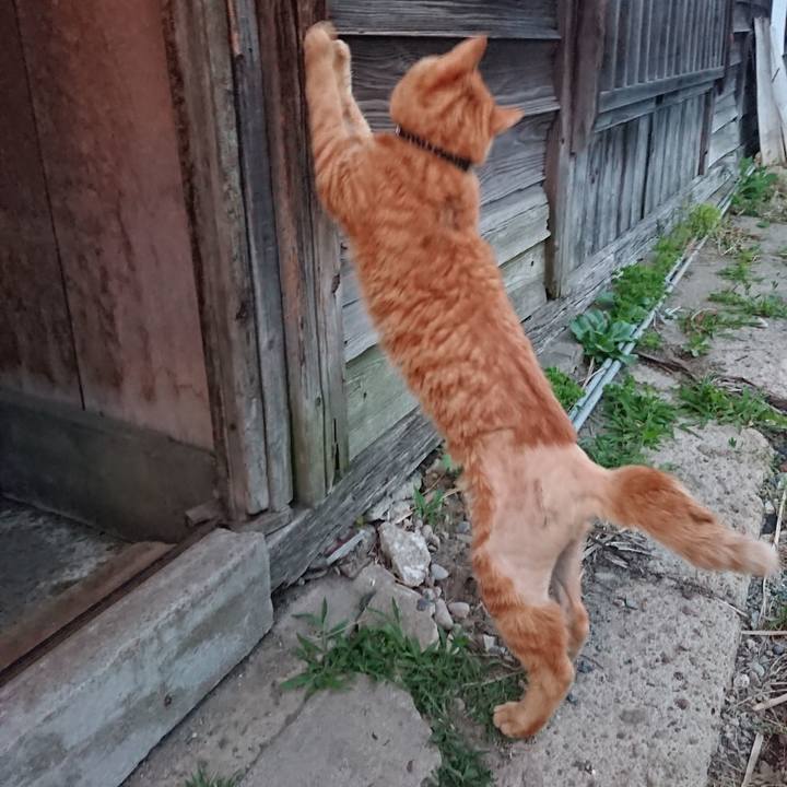 5684d1c5 6289 4fc6 9375 d7b169046c6f 1654080433063