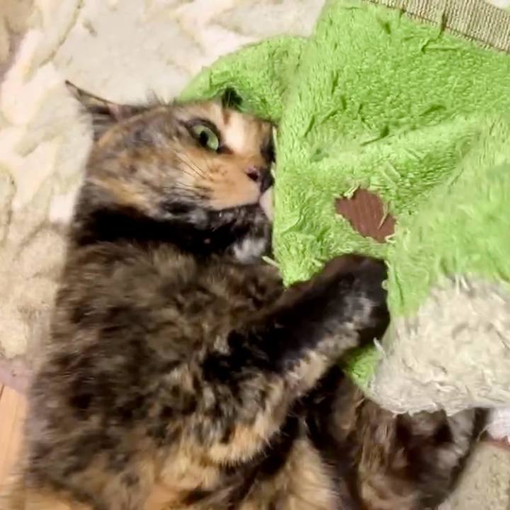 5684f171 a187 4ac6 b9f2 1daa007f75d4 1738525443533