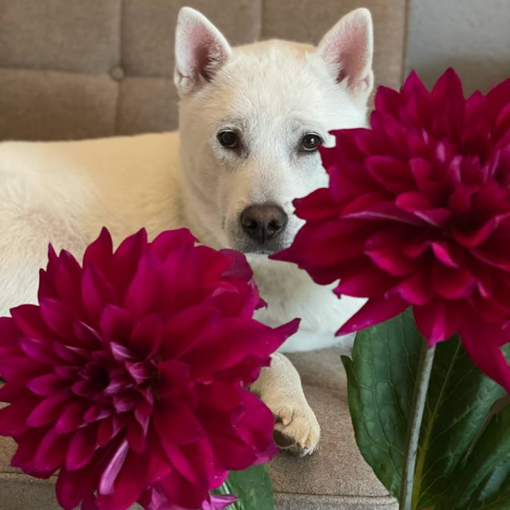 56850d33 1468 41ae b020 3ebec47891d3 1611463972331