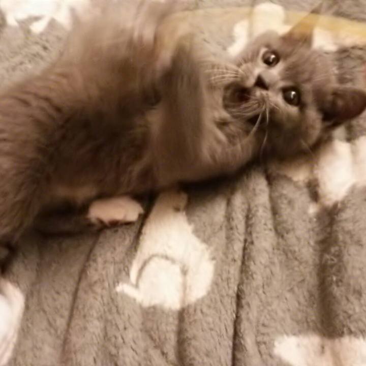 56852092 38c7 4f6f 9f4a 0e3372658665 1530699791801