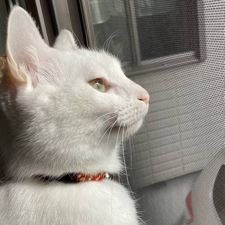 56852ee7 e0d3 494d a355 b0e97a2d4b3c 1676780947470