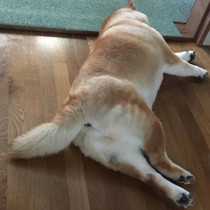 56853ec8 697c 47c3 8f18 cc64a33d83f4 1565146274068