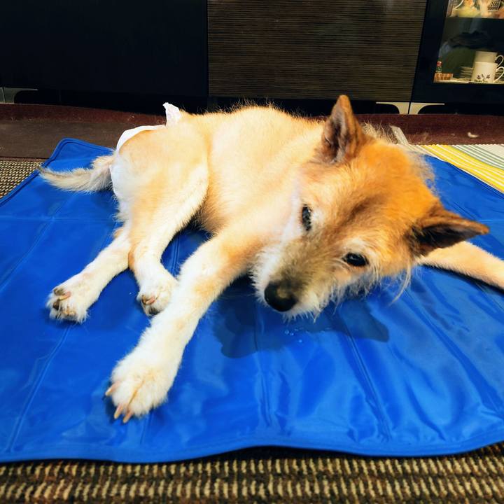 568553a4 2d54 483f 814d f170177f5d8f 1655867815970