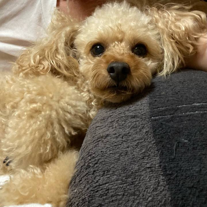 56855877 c649 4923 9857 e9cda17a6787 1658053508080