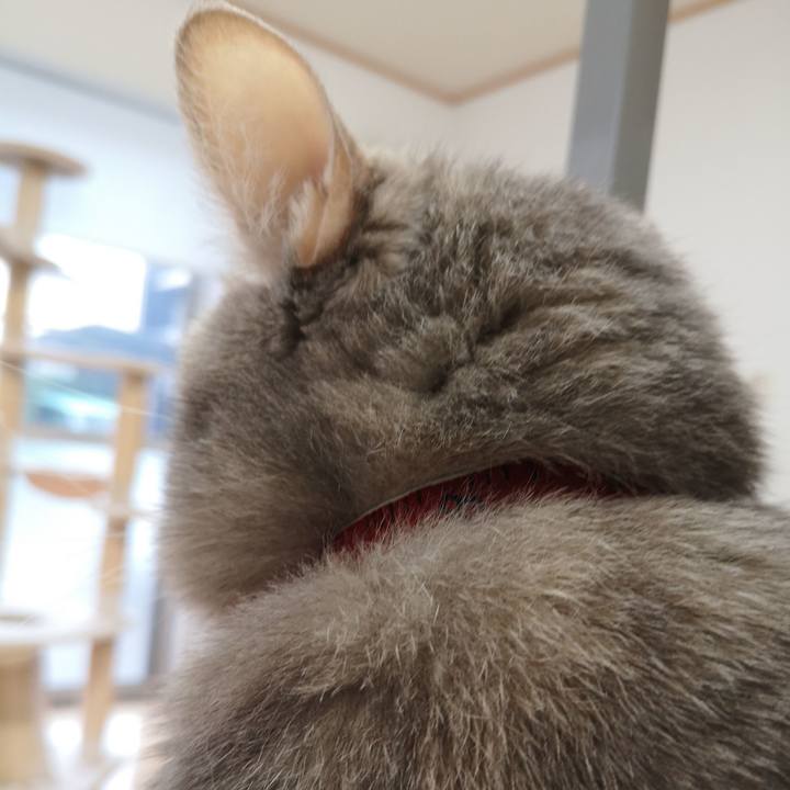 5685779f cde2 4872 82b1 2c8cc5d396f0 1576038586313