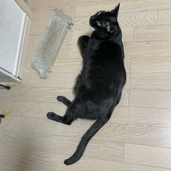 568582d4 5b31 45a6 aca2 8f1d6f79054e 1725962863711