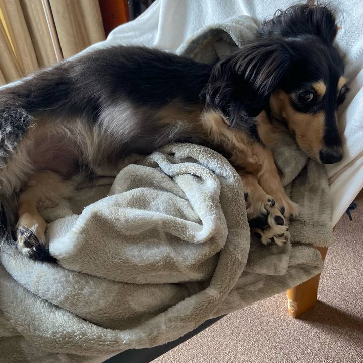 568599b5 86f9 4f8f 93ea 1529085e95f6 1765242586428