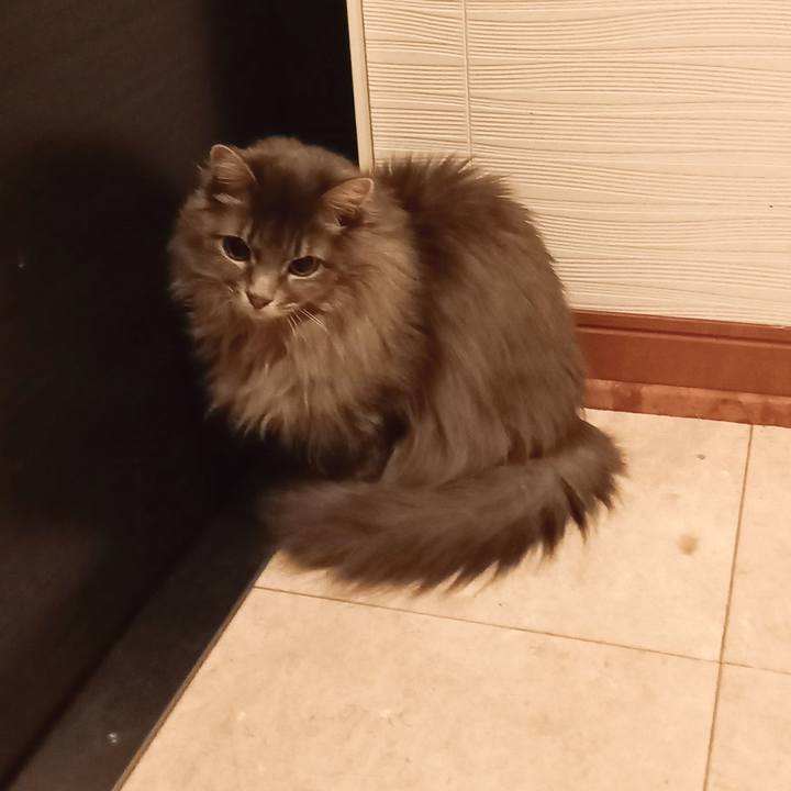 56859fc4 21ef 4051 ab55 fd77ddfde6c8 1673989722665