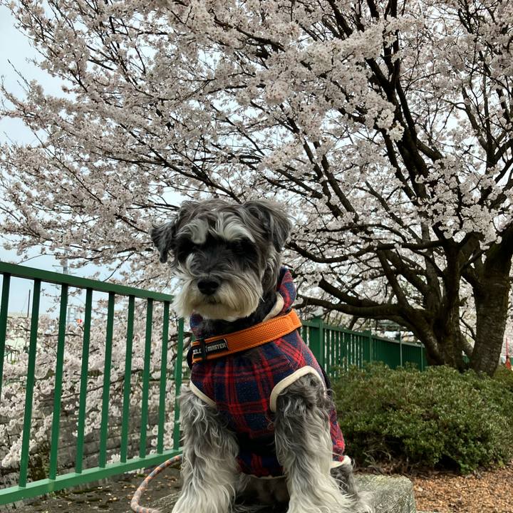 5685ba52 8cc8 47bc b385 f40bba0a9521 1775267622693