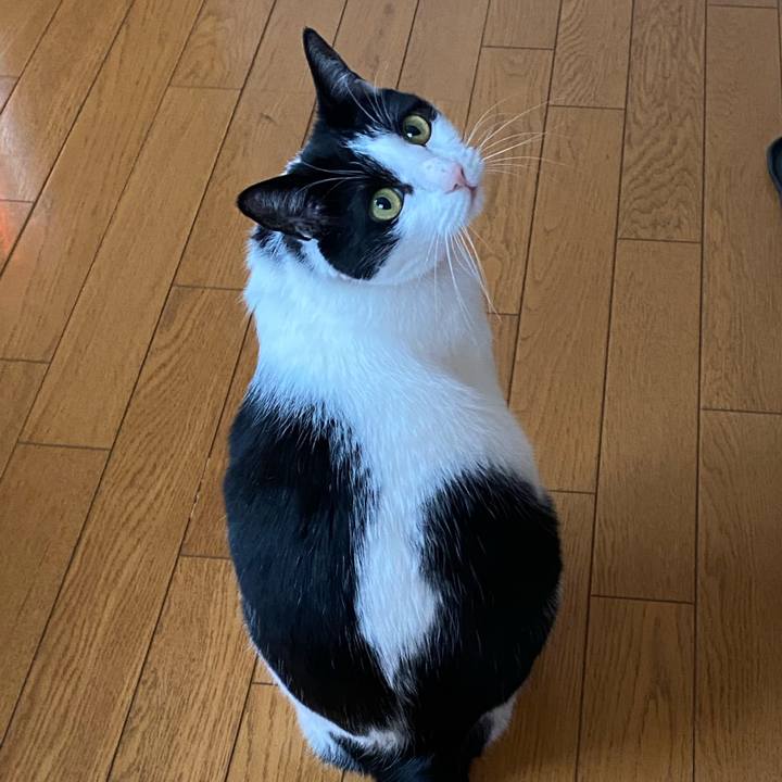 5685c22e aab5 4f6b 8faa 44b67fc8c43c 1678405192604