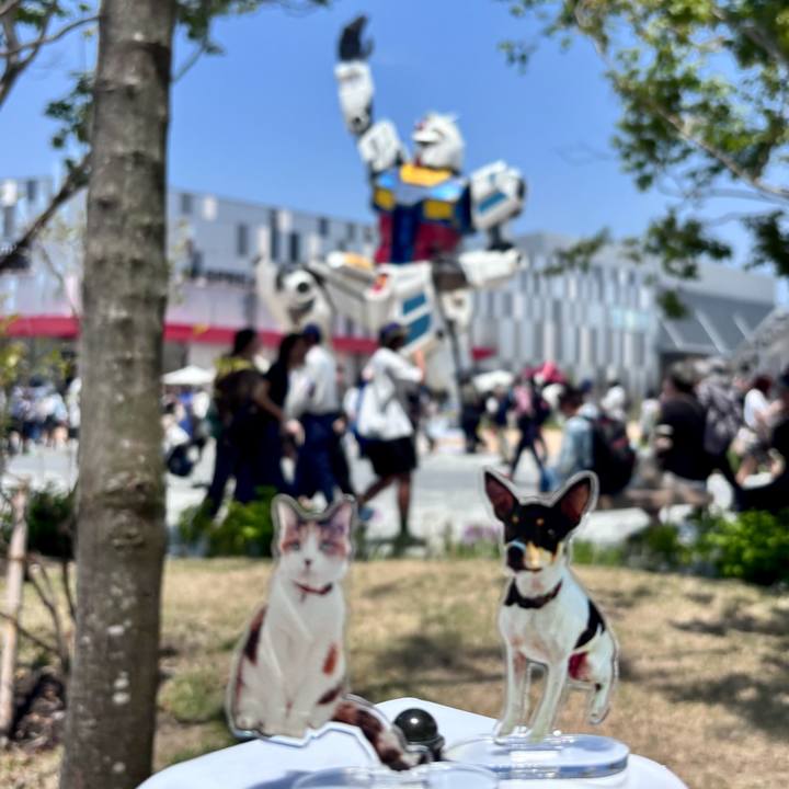 5685d191 4f49 4988 b97c 5409cf238512 1747104314947