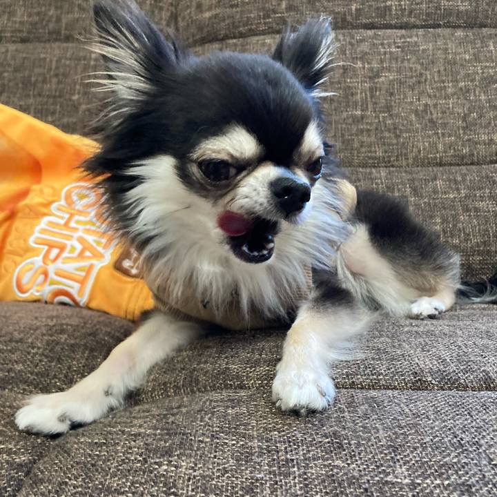 5685de96 5445 42d3 8ad1 64213f802974 1702795201897