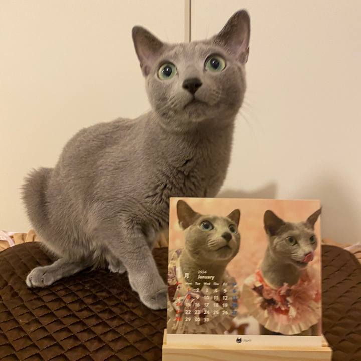 5685fbb7 bd4e 4bcb aac2 830743e7d50c 1699602729656