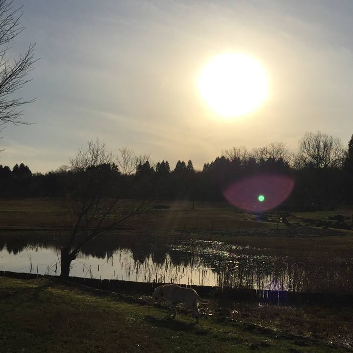 568602c8 6a77 4dc6 a5bb d024d4fe13a6 1547215485641