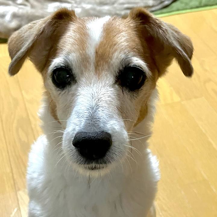 56861661 088e 4eaa 98cc 1d41d6452f9a 1700140478991