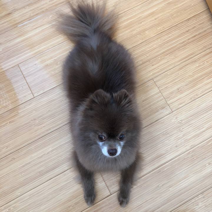 56863281 53b1 4e2d ab28 106b01c44d9f 1561004655358