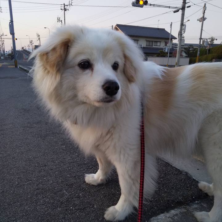 56864b3f 31c3 42f5 87d1 e11bf771f320 1638961839692