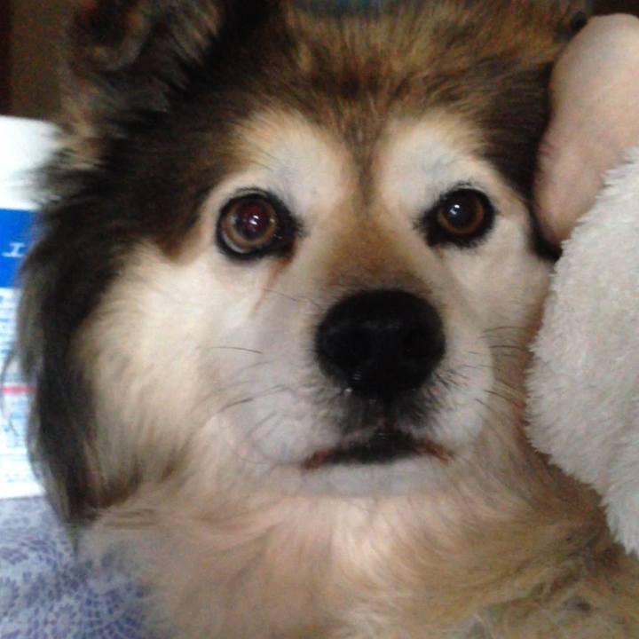 56867eb6 9c81 4182 bc25 09eb6fb4d751 1598955420451