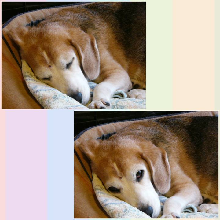 5686b212 0be9 46da 93b9 a6e683f1a3ee 1651972370827