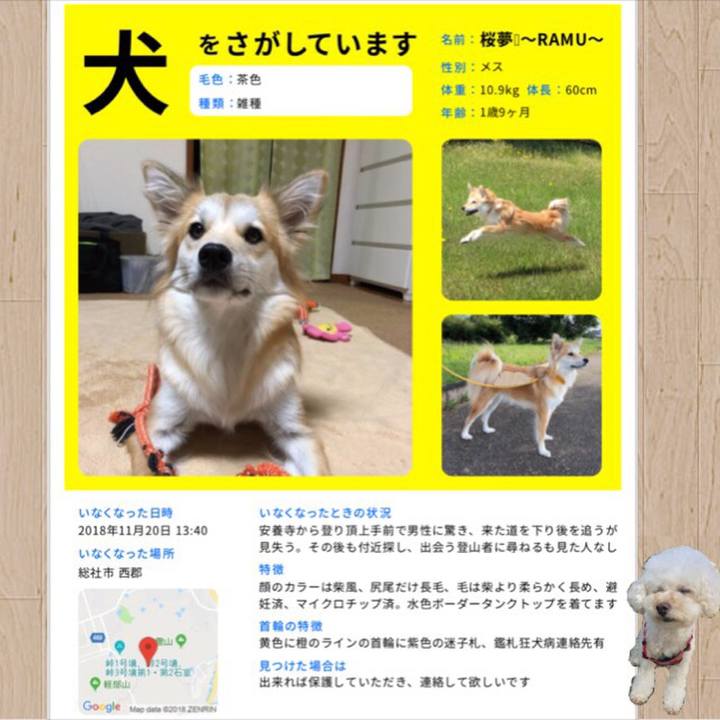 5686d9f0 1c22 4ab0 9c8e 36c6f4a703d6 1542803725182