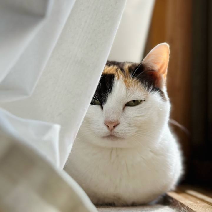 5686e76f 0bf7 47b0 98e6 5719ff4c4946 1716948025716