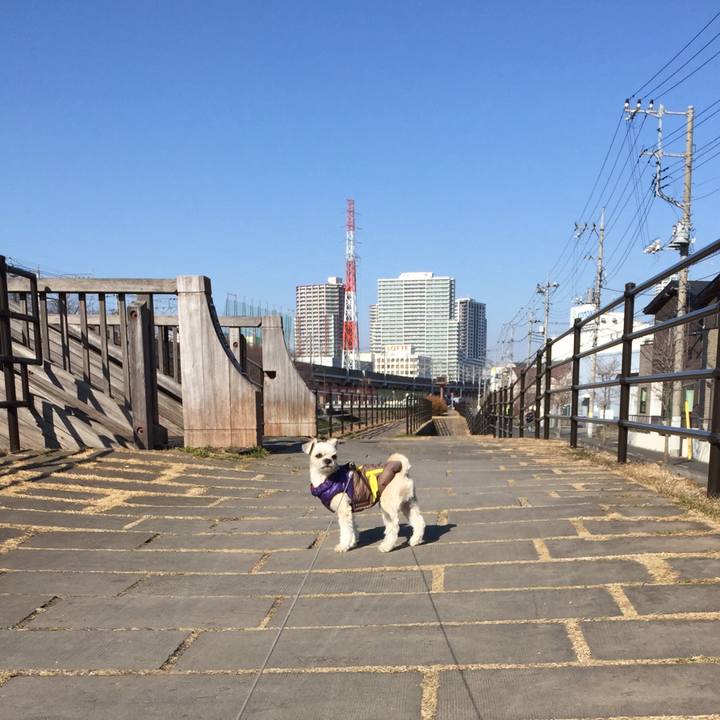 56875c82 03e0 4dfa b370 784439937419 1547376516246