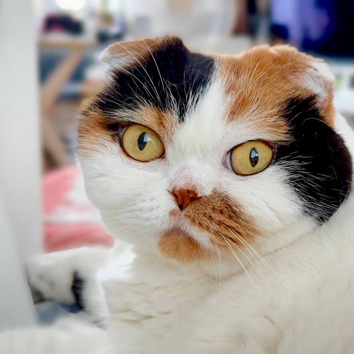 5687acaf 636e 4242 b1b7 fce55430d3dd 1693895664504