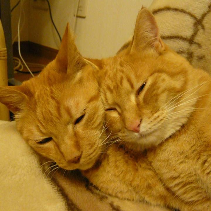 5687b282 4b86 4004 8b52 b08df992f5dc 1714379399881